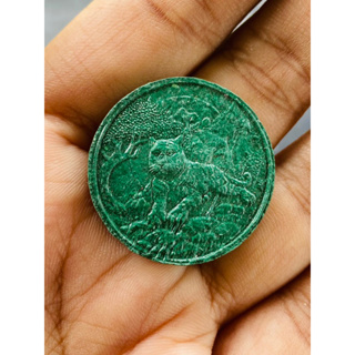เหรียญเนื้อผงพญาเสือนอนกิน รุ่นครูยกศิษย์ให้เหนือดวง #ตักศิลาวัดถ้ำพระพุทธโกษีย์ พระอาจารย์ประสูติ ปิยธมฺโม วัดในเตา