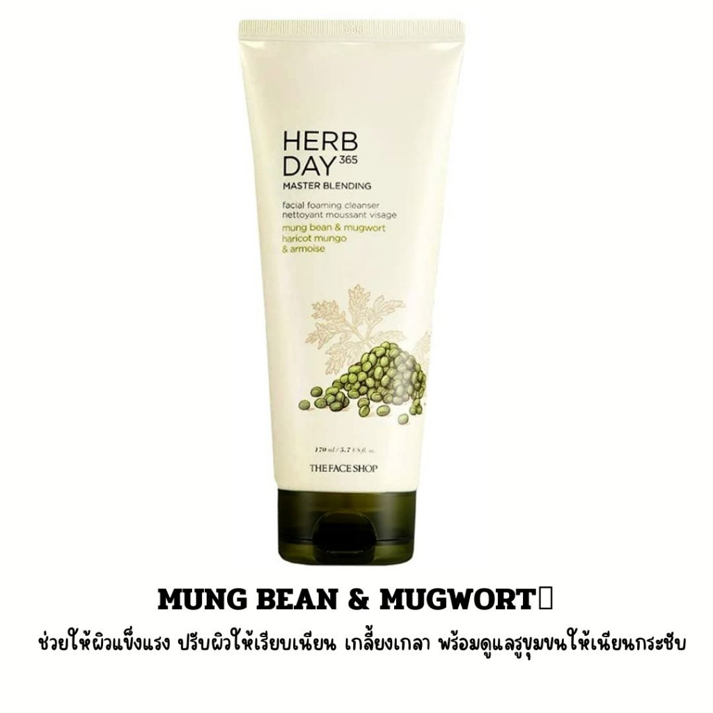 โฟมล้างหน้าทุกสูตรเลมอน-ว่านหางและถัวเขียว-ขนาดใหญ่170ml-the-face-shop-herb-day-365-cleansing-foam-exp24-01-25