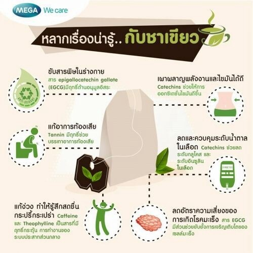 mega-we-care-hi-green-30-แคปซูล-ชาเขียวสกัดเข้มข้น-ช่วยควบคุมน้ำหนัก