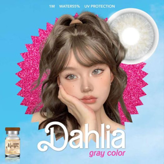 🔥คอนแทคเลนส์✨ขนาดกลาง✨ Dahlia ✨Mayalens