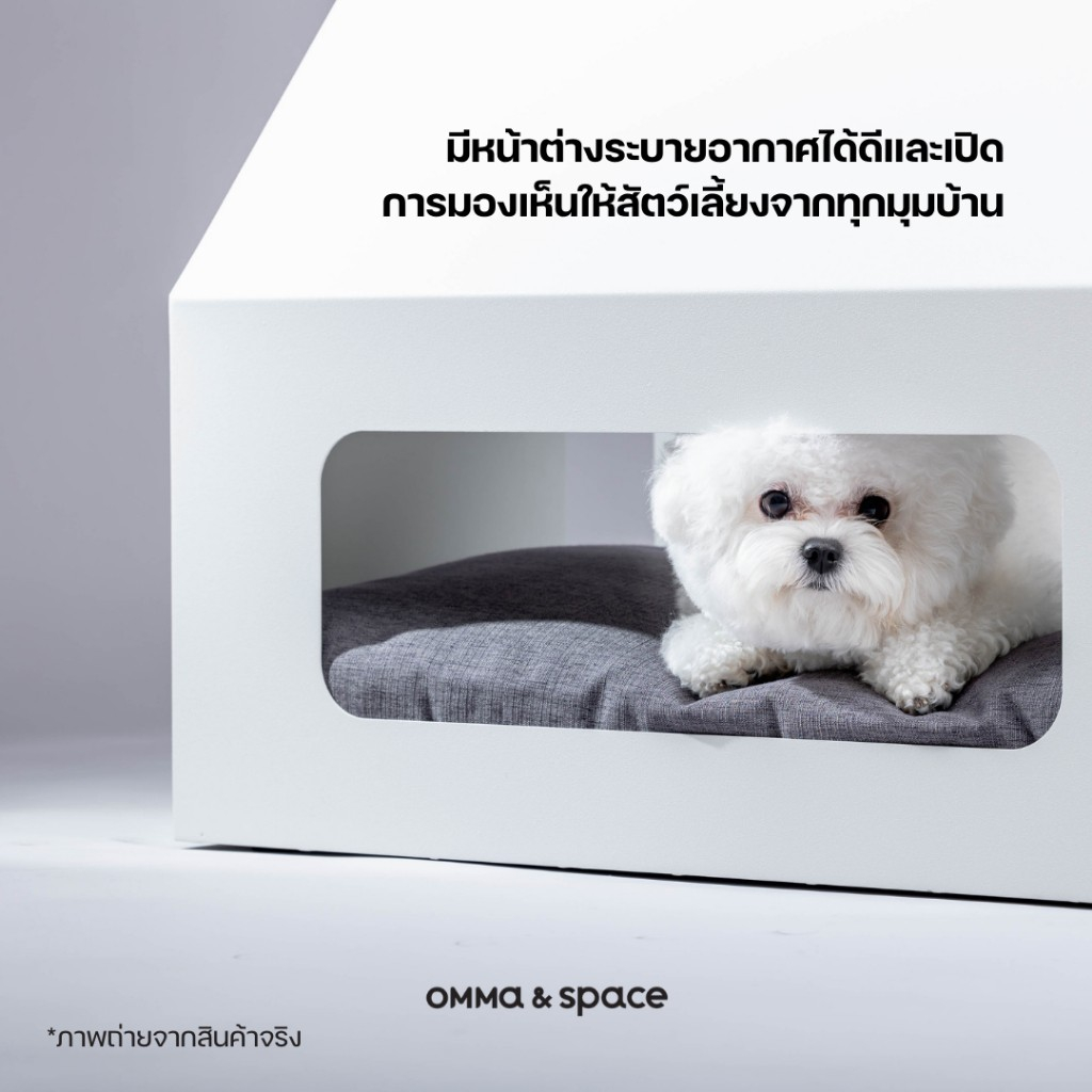 andspace-amp-space-bergen-house-บ้านสัตว์เลี้ยง-บ้านหมา-แมวสไตล์นอร์ดิก-สวยหรู-ทนทาน-ผลิตจาก-galvanizsed-steel