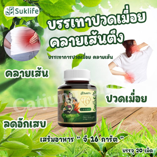 ผลิตภัณฑ์เสริมอาหาร Suklife สมุนไพรแก้ปวดเมื่อย คลายเส้น