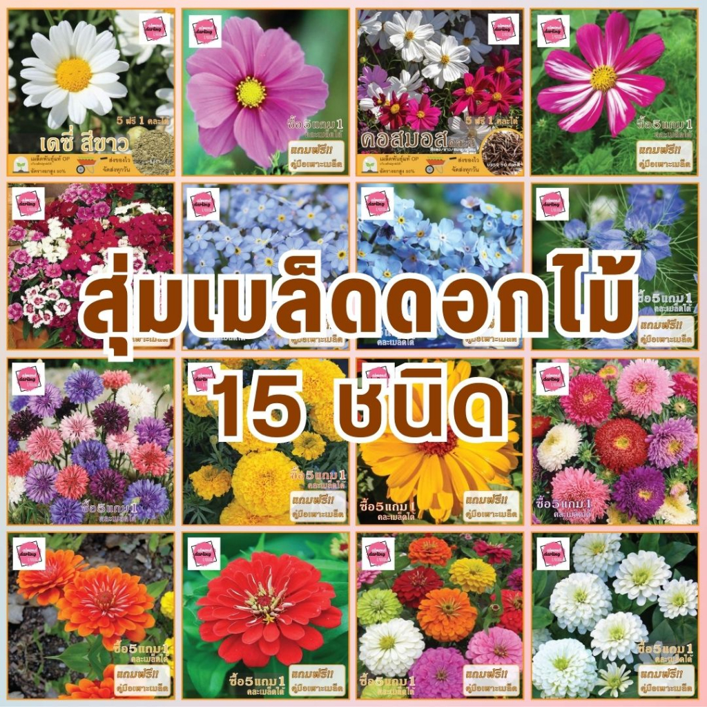 ชุดเมล็ดดอกไม้-12-ชนิด-สุ่มชนิด-พร้อมคู่มือการปลูก-เมล็ดใหม่-ปลูกง่าย