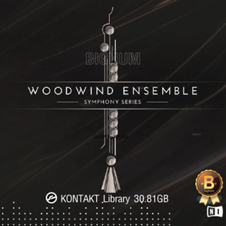 WOODWIND Ensemble SYMPHONY SERIES |Kontakt software Library | windows/mac