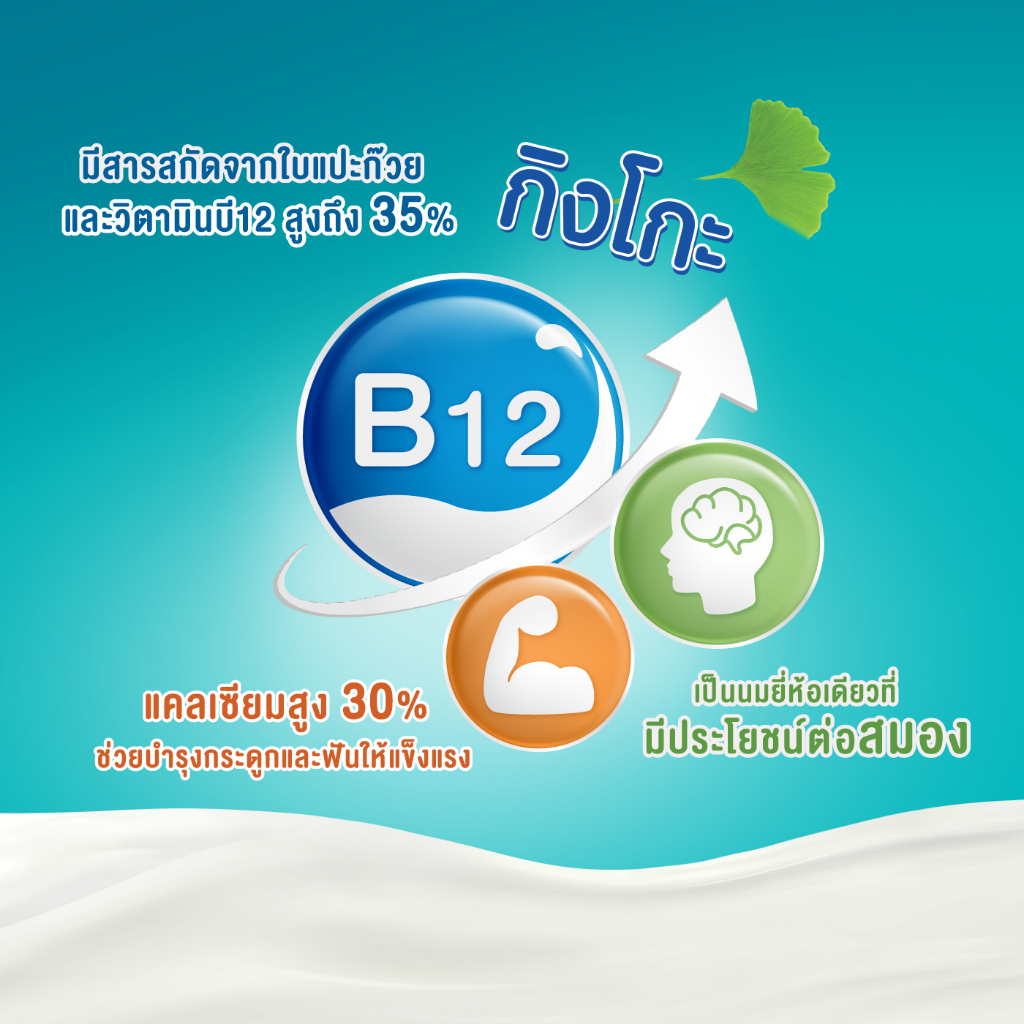 นมยูเอชที-รสช็อกโกแลต-สูตรผสมสารสกัดจากใบแปะก๊วย-ตราแมกโนเลีย-พลัส-180-มล-48-กล่อง