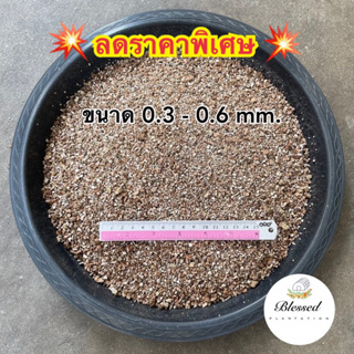 เวอร์มิคูไลท์(Vermiculite) วัสดุปลูกที่ช่วยทำให้ดินโปร่ง มีแร่ธาตุอาหารครบ