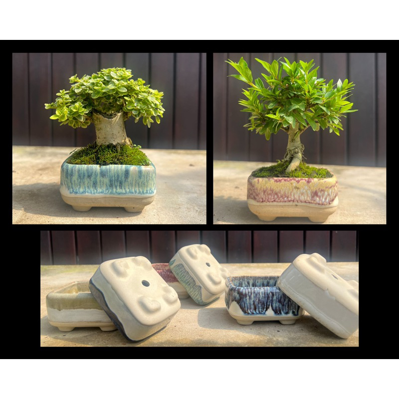 กระถางบอนไซ-เซรามิก-บอนไซจิ๋ว-ceramic-bonsai-pot