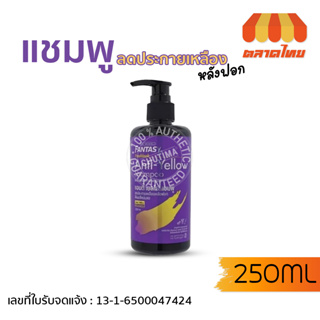 แชมพูม่วง ลดประกายเหลือง แคร์บิว แฟนตาซี เฟรชลุค แอนตี้เยลโล่ แชมพู Carebeau Fantasy Anti-Yellow Shampoo 250ml.