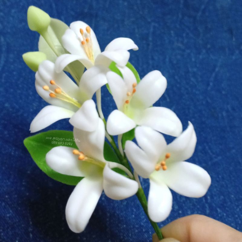 ดอกปีบ, ดอกกาสะลอง, ดอกไม้ดิน ,ช่อ ,ดอกไม้เสียบผม | Shopee Thailand
