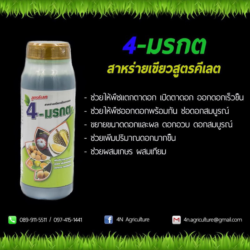 ราคาโปร-4มรกต-โฟร์มรกต-สาหร่ายสูตรเขียวคีเลต