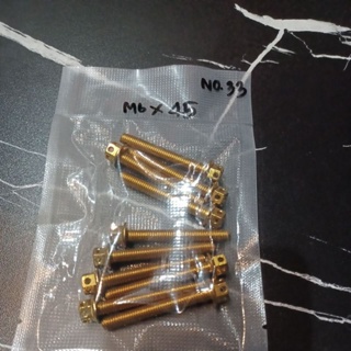 น็อตเลสทอง M6X45  หัวเจาะดาวงานสวย โล๊ะสต็อคชุด 10 ตัว (NO.33)