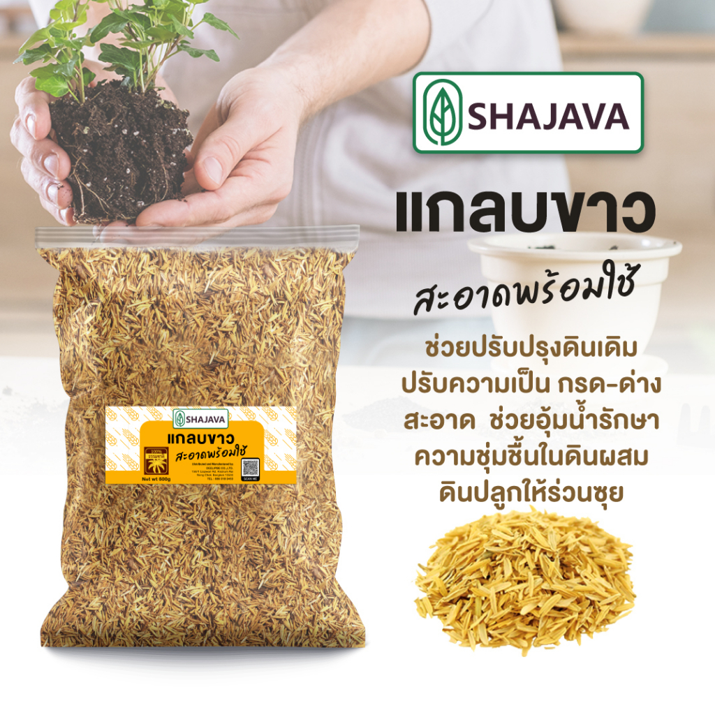 shajava-แกลบขาว-พร้อมใช้-500-g-แกลบ-แกลบขาว