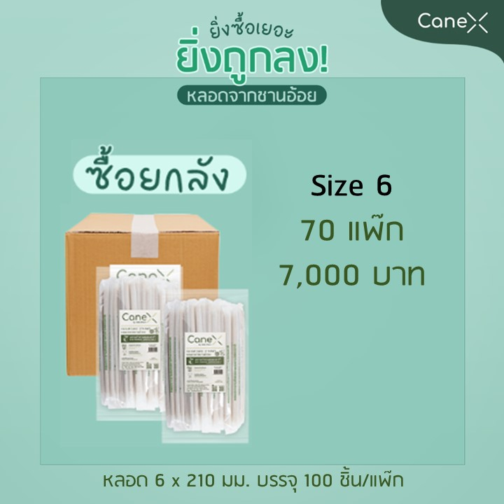 ยกลัง-หลอดจากชานอ้อย-6x210mm-ตัดตรง-มีซองกระดาษ-ซื้อ-70-pack-จำนวน-7-000-ชิ้น