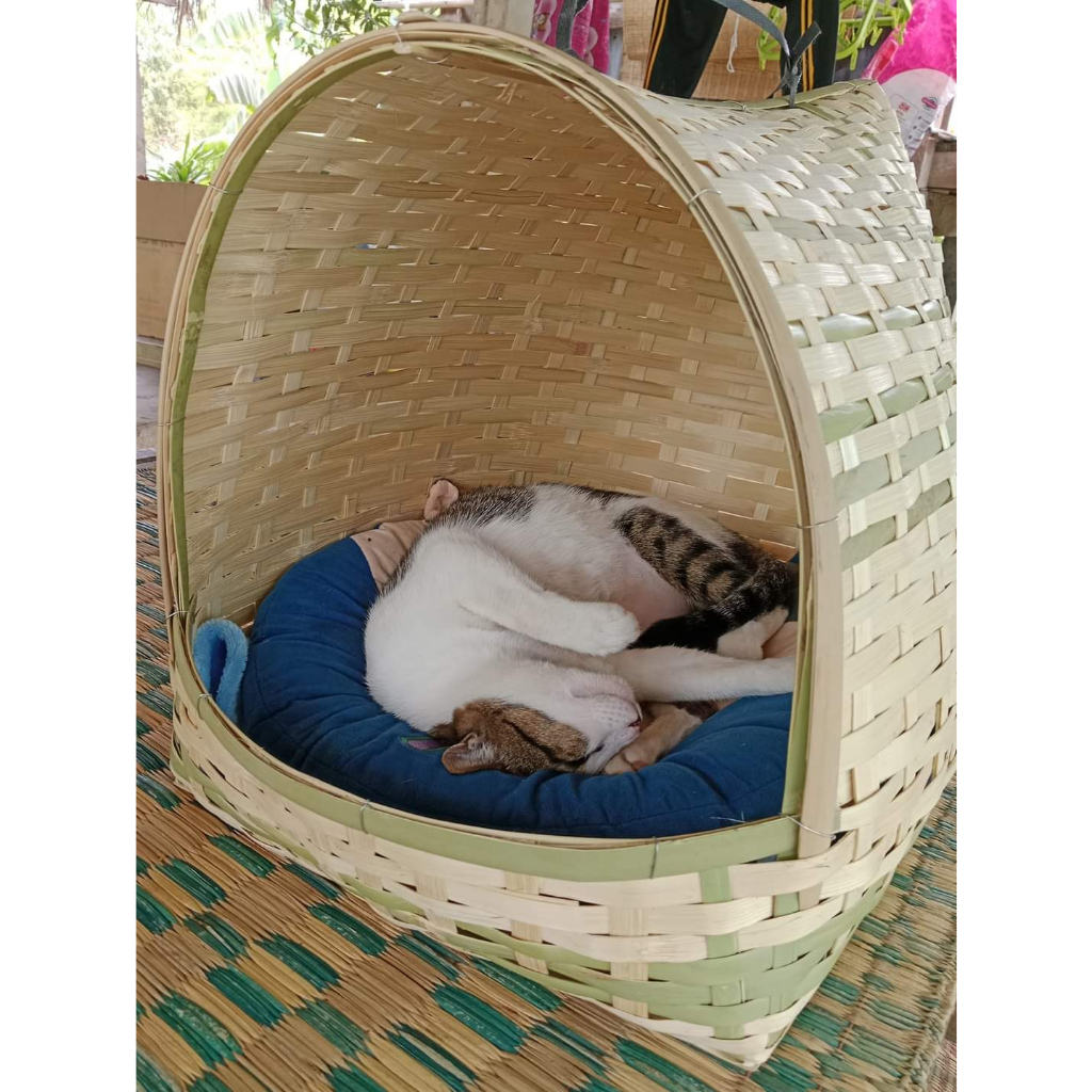 ที่นอนแมวสาน-จัมโบ้-17นิ้ว-ที่นอนสัตว์เลี้ยง-น้องหมาตัวเล็กนอนได้