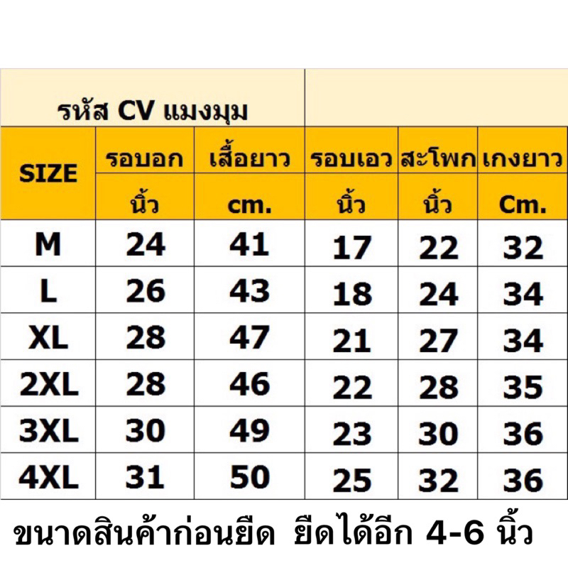 ภาพหน้าปกสินค้าชุดว่ายน้ำเด็กผู้ชาย  พร้อมส่งในไทย  3 ชิ้นHV /ZVZ ชุดว่ายน้ำเด็ก ZV CV จากร้าน ohokids บน Shopee