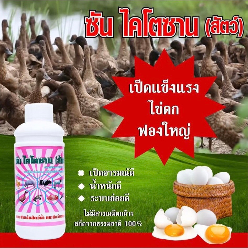 ซันไคโตซานสัตว์-10แถม2-ยกลังรวม12ขวด-ส่งฟรี-ส่งไว-สินค้าผลิตใหม่