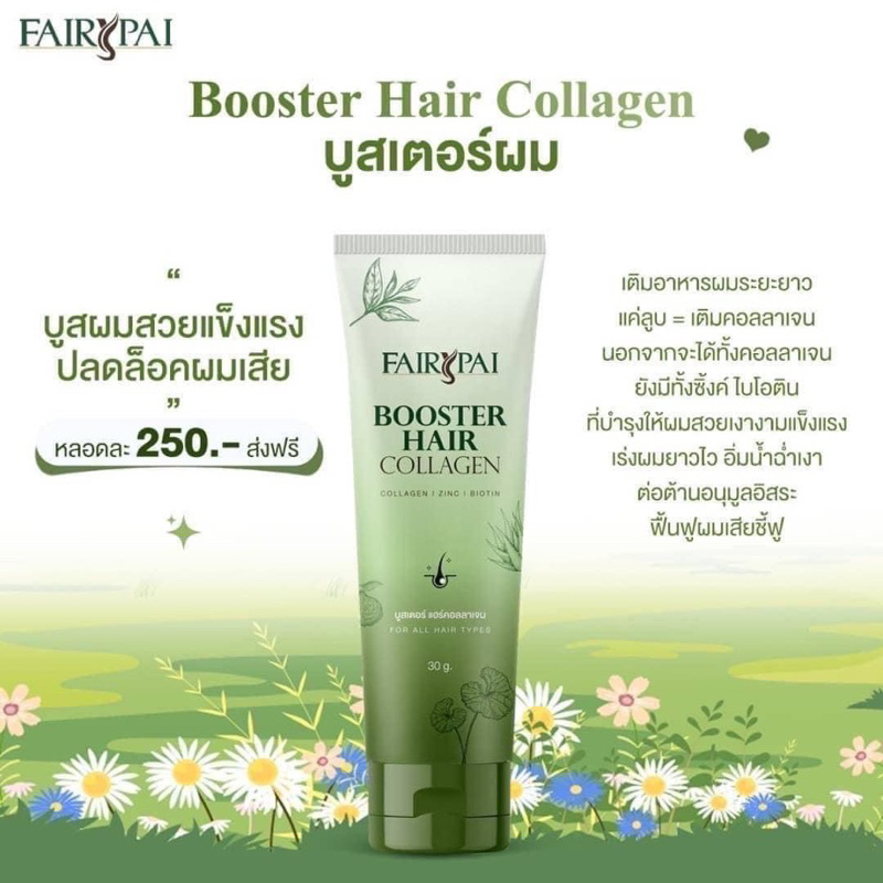 แฟรี่ปายบูสเตอร์คลอลาเจนผม-fairypai-booster-hair-college-อาหารผม-บำรุงผมแฟรี่ปายบูสเตอร์