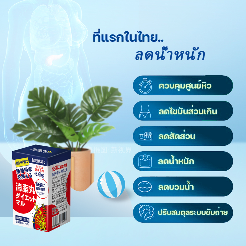 ญี่ปุ่น-sausando-นำเข้าการล้างพิษและยาลดไขมัน-อาหารเสริมควบคุมน้ำหนัก-เครื่องเผาผลาญไขมัน-เครื่องมือลดน้ำหนัก