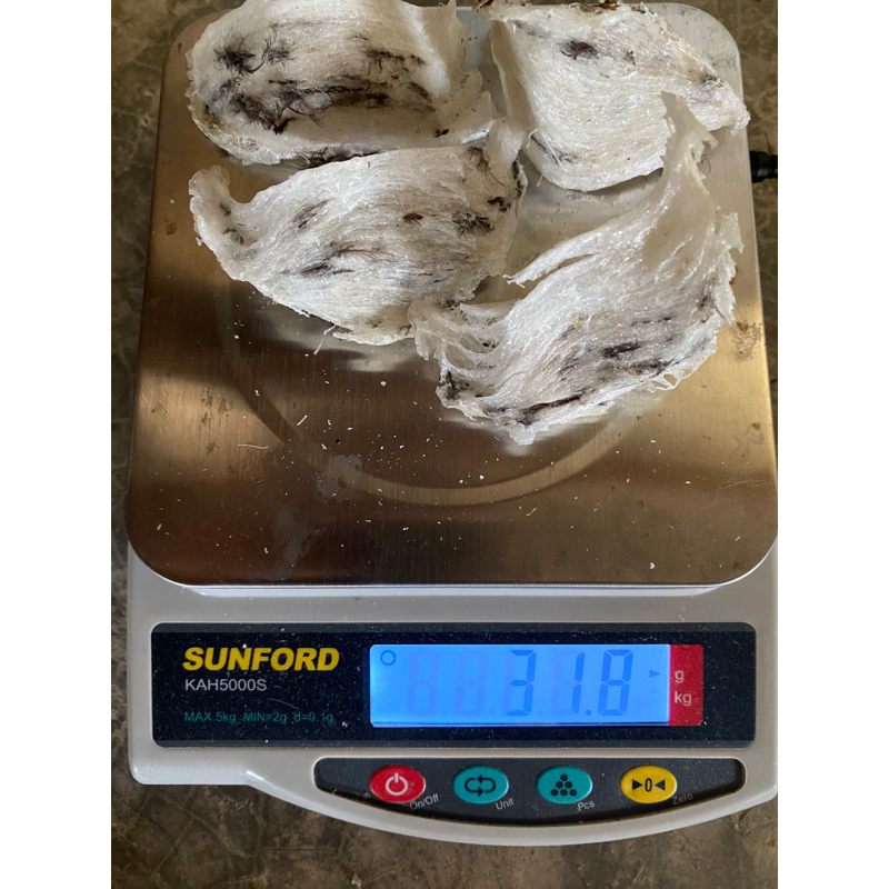 th-11134207-7qukx-lffn88pifp9q63