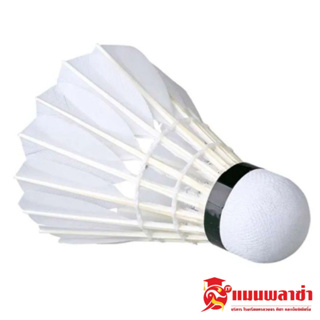 ภาพหน้าปกสินค้าลูกขนไก่ AR ลูกแบด ลูกแบดมินตัน ขนไก่ Badminton ที่เกี่ยวข้อง