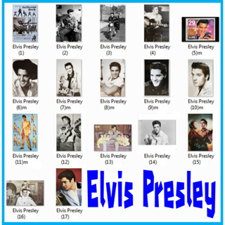 โปสเตอร์ Elvis Presley (17แบบ) เอลวิส เพรสลีย์ วง ดนตรี รูป ภาพ ติดผนัง สวยๆ poster 88x60 และ 76x52 ซม. โดยประมาณ