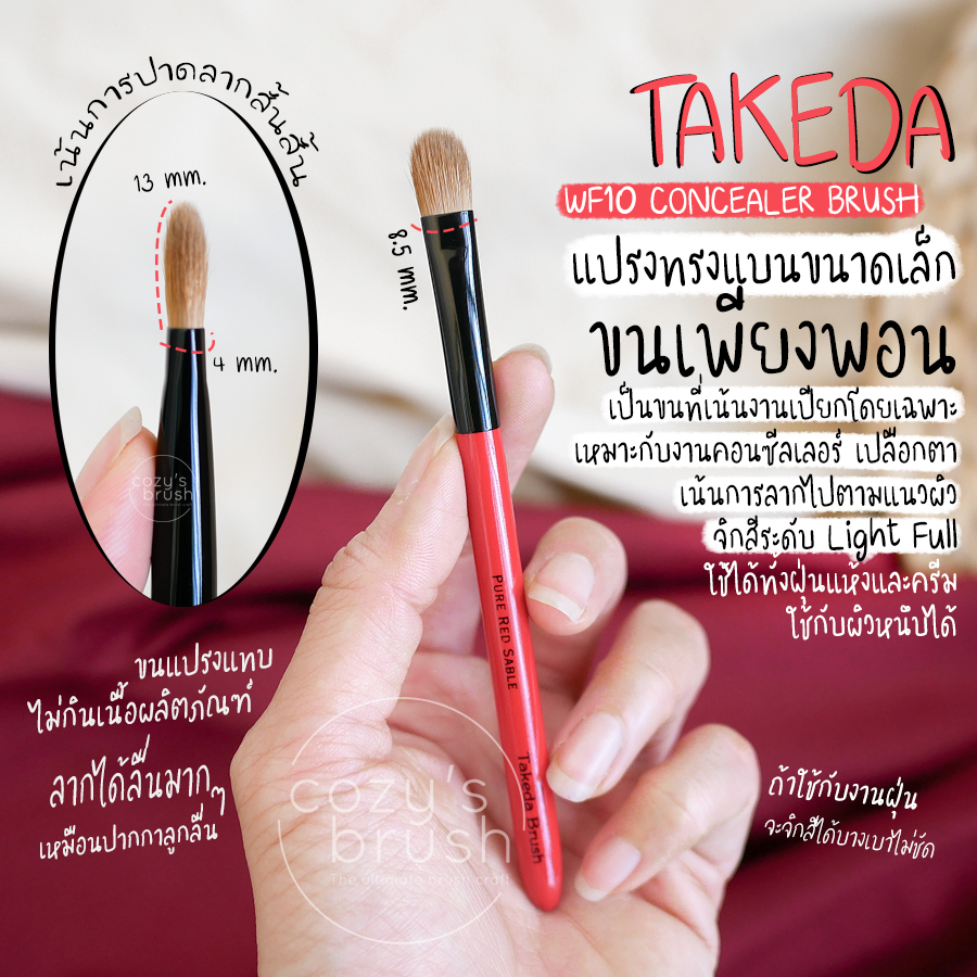 takeda-wf10-concealer-brush-prs