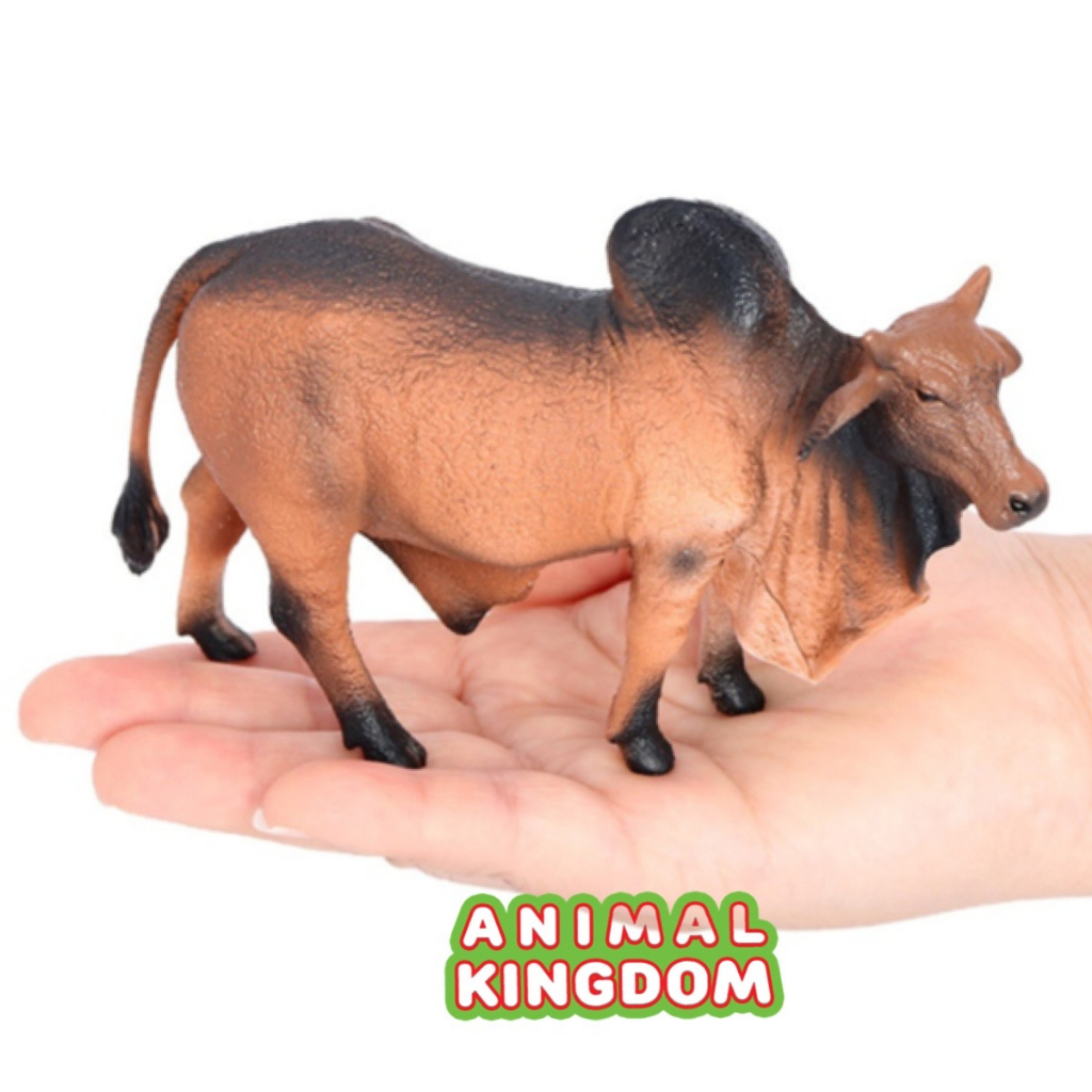 animal-kingdom-โมเดลสัตว์-วัวบราห์มัน-แดง-ขนาด-13-00-cm-จากหาดใหญ่