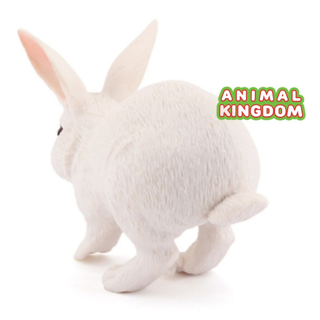 animal-kingdom-โมเดลสัตว์-กระต่าย-ขาว-ขนาด-11-00-cm-จากหาดใหญ่