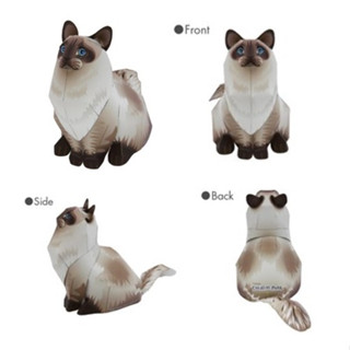 โมเดลกระดาษ 3D : แมว Ragdoll กระดาษโฟโต้เนื้อด้าน  กันละอองน้ำ ขนาด A4 220g.