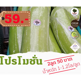 ฟักเขียวอินทรีย์ 2 ลูก 59 บาท(ลูกละ1-1.2กก) ห่อทุกลูก