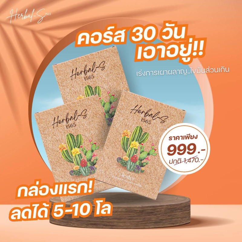 ฟรีส่ง-สมุนไพรคุมหิว1565คอร์ส30วัน-ลด2-10kg