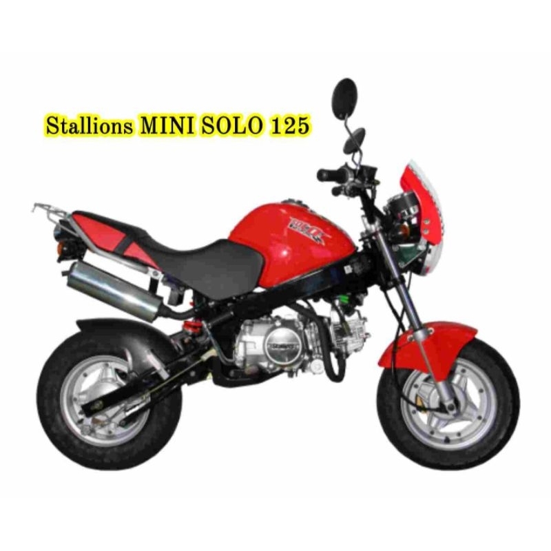 ซีลโช๊คหน้า-stallions-mini-gio-125-mini-momo-125-baja-125-ซีลโช๊ค-ซีนโช๊คหน้า-ชีลโช้คหน้า-ซินโช๊คหน้า