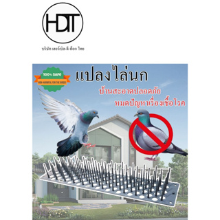 แปลงไล่นก ไล่นก แปลงไล่นก หนามไล่นก (แบบวาง) 49x11.2x6ซม.1แผง