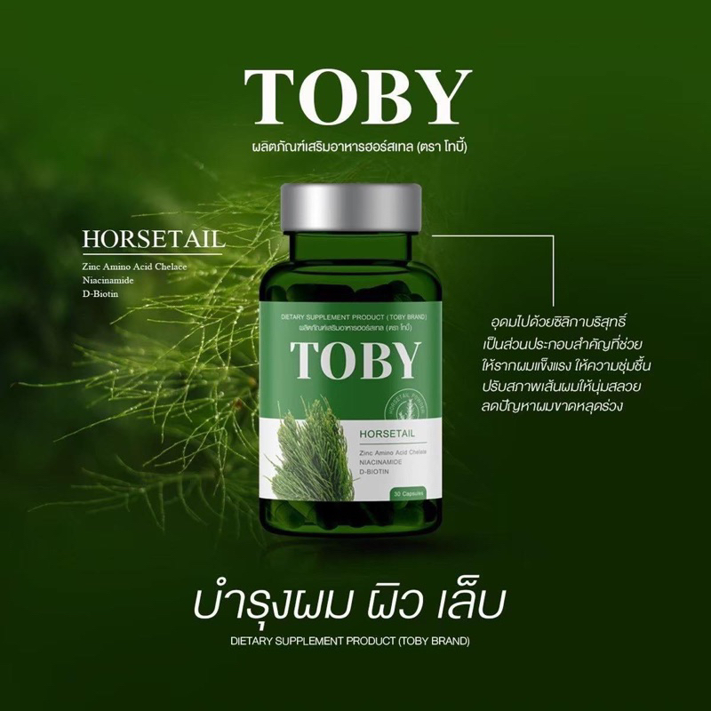 toby-horsetail-โทบี้-ฮอร์สเทล-วิตามินบำรุงผม-วิตามินบำรุง-เส้นผม-อาหารเสริมบำรุงผม-วิตามินแก้ผม-ร่วง-ผมบาง