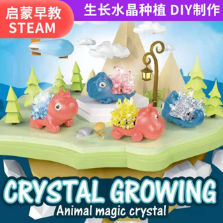 Animal Magic Crystal Growing ของเล่นเด็กSTEM ของเล่นวิทยศาสตร์ ของเล่นเสริมทักษะ ชุดทดลองวิทยาศาสตร์ ตกผลึกคริสตัล TY192