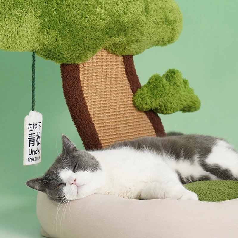 ที่นอนแมว-zeze-ที่นอนแมวต้นไม้-ที่ฝนเล็บ-นอนสบายนุ่มๆ