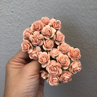 ดอกไม้กระดาษสาดอกไม้กุหลาบขนาดเล็กสีส้มอ่อน 65 ชิ้น ดอกไม้ประดิษฐ์สำหรับงานฝีมือและตกแต่ง พร้อมส่ง F238