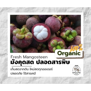 สินค้า มังคุด สดจากต้น Organic 100%