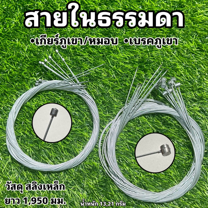 สายในธรรมดา-จักรยาน