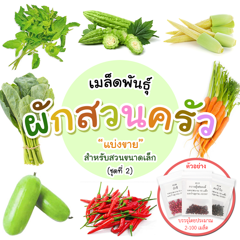 เมล็ดผักสวนครัว-ผักซองแบ่งขาย-เมล็ดใหม่อัตรางอกสูง-เหมาะสำหรับสวนขนาดเล็ก-ชุดที่-2