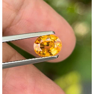 พลอยแซฟไฟซ์ นน1.32กะรัต( Yellow Sapphire )