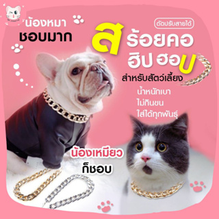 [พร้อมส่ง]😸🐶 ปลอกคอโซ่สีทอง สร้อยคอโซ่ น้องหมา&amp;แมว สร้อยคอแมว สร้อยคอหมา ราคาถูก