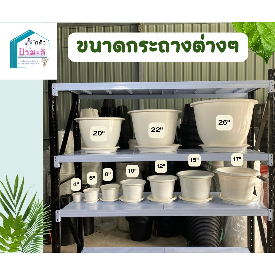 กระถาง-4-นิ้วสีขาว-50ใบ-ราคาส่งจากโรงงาน