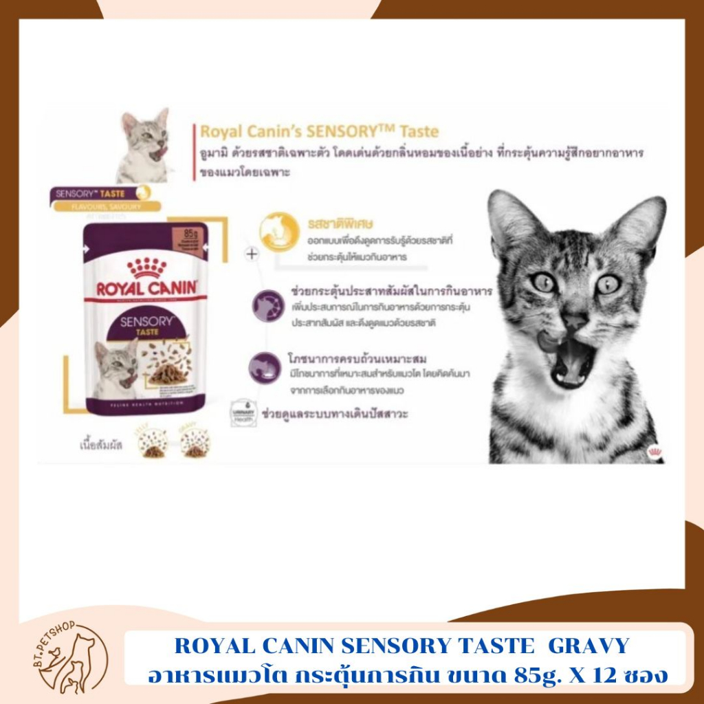 royal-canin-sensory-taste-pouch-gravy-อาหารแมวโต-รสชาติพิเศษ-สูตรกระตุ้นการกิน-ขนาด-85g-x-12-ซอง
