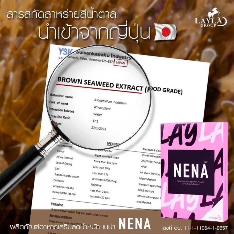 nena-เนน่า-อาหารเสริมควบคุมน้ำหนัก