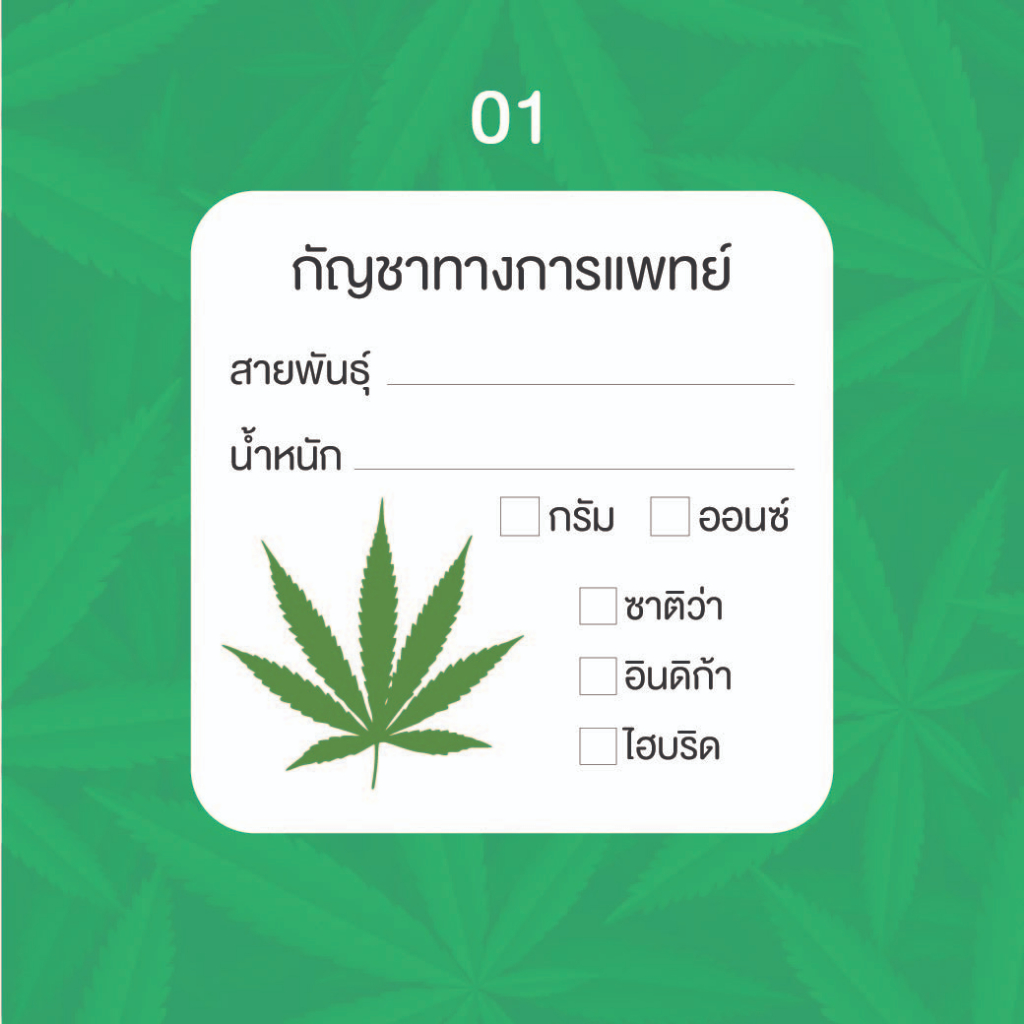 สติ๊กเกอร์กัญชาทางการแพทย์-สติ๊กเกอร์บอกสายพันธุ์กัญชา-สติ๊กเกอร์กัญชา-ขนาด-3-5x3-5cm-สี่เหลี่ยมขอบมน-1-set-ได้-80-ดวง