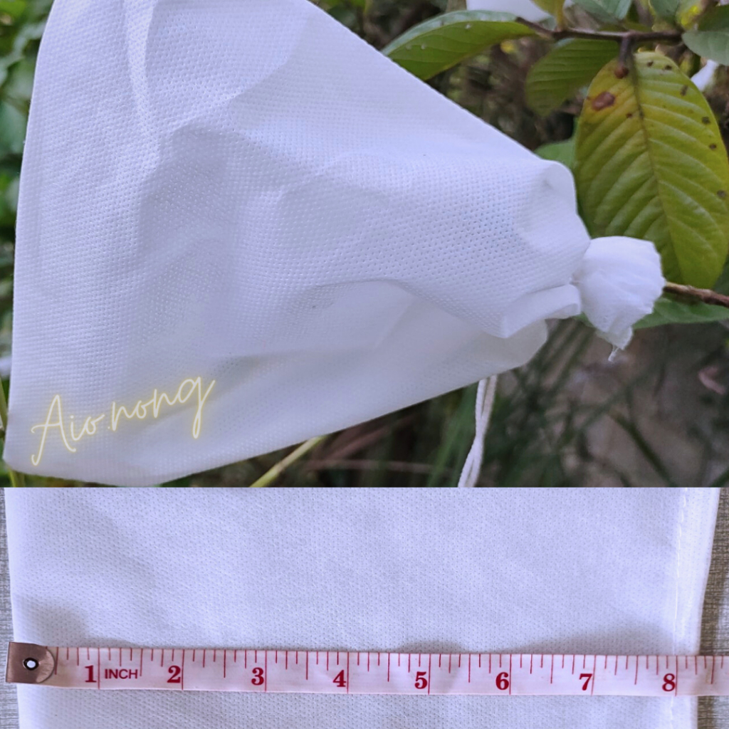 ถุงห่อผลไม้-ถุงผ้าหูรูด-สปันบอนด์100-ใบ-6x8-นิ้ว-40g-hy-sss-ป้องกันแดด-แมลงวัลทองไม่ต้องก่อกระดาษระบายอากาศปลอดสารเคมี