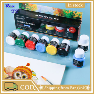 Rex TT 6 color pigment set 25ml acrylic watercolor gouache textile glass advertising painted graffiti paint