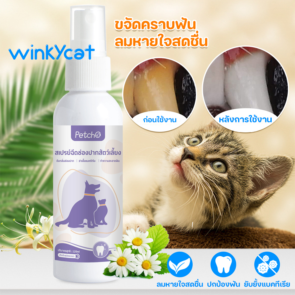 winky-wink-สเปรย์ฉีดช่องปากสัตว์เลี้ยง-120ml-สเปรย์ช่องปากสัตว์เลี้ยง-น้ำยาบ้วนปาก-น้ำยาดับกลิ่นปากสุนัข-แมว