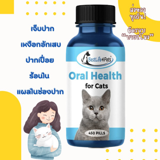 แบ่งขาย Oral Health for Cats แมวเจ็บปาก ปากเปื่อย ปากเป็แผล เหงือกอักเสบ ช่องปากอักเสบ